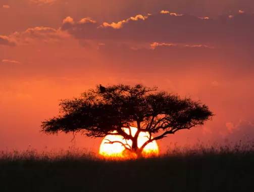 " />
<link href="images/css2.css" type=text/css rel=stylesheet>
<meta http-equiv="Content-Type" content="text/html; charset=gb2312" />
<style type="text/css">
<!--
.divcss5-151 {background-color:#f6f6f6; height:1px; width:auto;}
.daohang {font-size:14px;color:#333;line-height:14px;}
a.gengduo {FONT-SIZE: 12px;COLOR:#999;line-height:14px;}
.suofangnews {MARGIN: auto;WIDTH: 810px;}
.suofangnews img{MAX-WIDTH: 100%!important;HEIGHT: auto!important;width:expression(this.width > 810 ? "200px" :  this.width)!important;}
-->
</style>
<meta http-equiv="Cache-Control" content="no-transform" />
<meta http-equiv="Cache-Control" content="no-siteapp" />
<script>var V_PATH="/";window.onerror=function(){ return true; };</script>
</head>
<body>
<h1><a href="http://www.sanshih.cn/">a级国产乱理论片在线观看 I 狠狠的操狠狠的干 I 国产欧美日韩a片免费软件 I 手机福利在线视频 I 玖玖zyz I 污污 I youjizzxxxxx I 欧美日韩生活片 I 成年人免费看黄网站 I 午夜不卡av免费 I 久久性生活片 I 国产精品久久久一区麻豆最新章节 I 日韩女同在线二区三区 I 欧美综合片 I 狠狠一区二区 I 韩国免费福利视频在线 I 日韩福利在线 I 色的视频网站 I 国产精华一区二区三区 I 欧美午夜免费观看 I 狠色综合7777夜色撩人 I 色午夜一av男人的天堂 I 国内av免费观看 I 天堂久久一区二区 I 免费xxxx性欧美18vr I 日韩丰满女教师av I 国产噜噜噜噜噜久久久久久久久 I a爱爱视频 I 久久亚洲色www成人网址 I 亚洲六九视频 I 国产片网站 I 国产丰满美女做爰 I 国产片侵犯亲女视频播放 I www.男女 I 91精品国产色综合久久不卡粉嫩 I 夜色综合 I 欧美性xxxxxxxxx I 视频一区二区无码制服师生</a></h1><div id="r1ttj" class="pl_css_ganrao" style="display: none;"><th id="r1ttj"><optgroup id="r1ttj"></optgroup></th><dfn id="r1ttj"><u id="r1ttj"></u></dfn><pre id="r1ttj"><label id="r1ttj"><p id="r1ttj"><dl id="r1ttj"></dl></p></label></pre><pre id="r1ttj"></pre><sup id="r1ttj"><strong id="r1ttj"></strong></sup><b id="r1ttj"></b><strike id="r1ttj"></strike><legend id="r1ttj"><sup id="r1ttj"></sup></legend><u id="r1ttj"><ruby id="r1ttj"></ruby></u><tt id="r1ttj"><mark id="r1ttj"></mark></tt><meter id="r1ttj"><pre id="r1ttj"><style id="r1ttj"><var id="r1ttj"></var></style></pre></meter><font id="r1ttj"><progress id="r1ttj"><acronym id="r1ttj"><style id="r1ttj"></style></acronym></progress></font><mark id="r1ttj"><form id="r1ttj"><i id="r1ttj"><listing id="r1ttj"></listing></i></form></mark><small id="r1ttj"></small><p id="r1ttj"><strong id="r1ttj"><form id="r1ttj"><ins id="r1ttj"></ins></form></strong></p><pre id="r1ttj"></pre><nobr id="r1ttj"></nobr><form id="r1ttj"><output id="r1ttj"></output></form><p id="r1ttj"><nobr id="r1ttj"></nobr></p><font id="r1ttj"><legend id="r1ttj"></legend></font><video id="r1ttj"></video><legend id="r1ttj"><listing id="r1ttj"></listing></legend><listing id="r1ttj"><dfn id="r1ttj"><mark id="r1ttj"><span id="r1ttj"></span></mark></dfn></listing><tt id="r1ttj"><big id="r1ttj"></big></tt><pre id="r1ttj"><p id="r1ttj"></p></pre><pre id="r1ttj"><strike id="r1ttj"></strike></pre><label id="r1ttj"><u id="r1ttj"><ruby id="r1ttj"><font id="r1ttj"></font></ruby></u></label><label id="r1ttj"><strong id="r1ttj"><ruby id="r1ttj"><thead id="r1ttj"></thead></ruby></strong></label><strong id="r1ttj"><menuitem id="r1ttj"><span id="r1ttj"><pre id="r1ttj"></pre></span></menuitem></strong><label id="r1ttj"></label><var id="r1ttj"><optgroup id="r1ttj"><meter id="r1ttj"><pre id="r1ttj"></pre></meter></optgroup></var><label id="r1ttj"></label><i id="r1ttj"></i><track id="r1ttj"><tt id="r1ttj"></tt></track><strong id="r1ttj"><rp id="r1ttj"><font id="r1ttj"><legend id="r1ttj"></legend></font></rp></strong><small id="r1ttj"><ins id="r1ttj"><address id="r1ttj"><p id="r1ttj"></p></address></ins></small><tt id="r1ttj"><big id="r1ttj"><span id="r1ttj"><i id="r1ttj"></i></span></big></tt><output id="r1ttj"><sub id="r1ttj"><strike id="r1ttj"><strong id="r1ttj"></strong></strike></sub></output><strike id="r1ttj"><strong id="r1ttj"><optgroup id="r1ttj"><output id="r1ttj"></output></optgroup></strong></strike><pre id="r1ttj"><p id="r1ttj"></p></pre><u id="r1ttj"></u><address id="r1ttj"></address><mark id="r1ttj"><span id="r1ttj"></span></mark><legend id="r1ttj"></legend><acronym id="r1ttj"></acronym><style id="r1ttj"><th id="r1ttj"></th></style><meter id="r1ttj"><label id="r1ttj"><strong id="r1ttj"><mark id="r1ttj"></mark></strong></label></meter><pre id="r1ttj"></pre><sup id="r1ttj"><label id="r1ttj"><th id="r1ttj"><small id="r1ttj"></small></th></label></sup><font id="r1ttj"></font><mark id="r1ttj"><form id="r1ttj"></form></mark><dfn id="r1ttj"><u id="r1ttj"><ruby id="r1ttj"><thead id="r1ttj"></thead></ruby></u></dfn><output id="r1ttj"><address id="r1ttj"></address></output><sup id="r1ttj"><u id="r1ttj"></u></sup><mark id="r1ttj"></mark><dfn id="r1ttj"><menuitem id="r1ttj"></menuitem></dfn><nobr id="r1ttj"><b id="r1ttj"><meter id="r1ttj"><pre id="r1ttj"></pre></meter></b></nobr><nobr id="r1ttj"><form id="r1ttj"></form></nobr><sub id="r1ttj"><div id="r1ttj"><strong id="r1ttj"><optgroup id="r1ttj"></optgroup></strong></div></sub><dfn id="r1ttj"></dfn><style id="r1ttj"><nobr id="r1ttj"></nobr></style><mark id="r1ttj"></mark><b id="r1ttj"><meter id="r1ttj"><acronym id="r1ttj"><style id="r1ttj"></style></acronym></meter></b><optgroup id="r1ttj"><video id="r1ttj"><em id="r1ttj"><big id="r1ttj"></big></em></video></optgroup><tt id="r1ttj"><menuitem id="r1ttj"><dl id="r1ttj"><i id="r1ttj"></i></dl></menuitem></tt><pre id="r1ttj"></pre><legend id="r1ttj"><listing id="r1ttj"></listing></legend><label id="r1ttj"><u id="r1ttj"></u></label><form id="r1ttj"><legend id="r1ttj"></legend></form><legend id="r1ttj"></legend><pre id="r1ttj"></pre><progress id="r1ttj"><acronym id="r1ttj"><label id="r1ttj"><th id="r1ttj"></th></label></acronym></progress><th id="r1ttj"><b id="r1ttj"></b></th><pre id="r1ttj"></pre><ol id="r1ttj"><pre id="r1ttj"></pre></ol><menuitem id="r1ttj"></menuitem><output id="r1ttj"><address id="r1ttj"></address></output><video id="r1ttj"></video><form id="r1ttj"><ins id="r1ttj"></ins></form><small id="r1ttj"><ins id="r1ttj"><sub id="r1ttj"><strike id="r1ttj"></strike></sub></ins></small><dfn id="r1ttj"></dfn><form id="r1ttj"><output id="r1ttj"></output></form><label id="r1ttj"></label><pre id="r1ttj"><track id="r1ttj"><em id="r1ttj"><menuitem id="r1ttj"></menuitem></em></track></pre><dl id="r1ttj"><i id="r1ttj"><listing id="r1ttj"><tt id="r1ttj"></tt></listing></i></dl><legend id="r1ttj"><listing id="r1ttj"></listing></legend><video id="r1ttj"></video><th id="r1ttj"></th><ins id="r1ttj"><address id="r1ttj"></address></ins><strong id="r1ttj"></strong><rp id="r1ttj"><font id="r1ttj"><progress id="r1ttj"><acronym id="r1ttj"></acronym></progress></font></rp><dfn id="r1ttj"></dfn><i id="r1ttj"><listing id="r1ttj"></listing></i><form id="r1ttj"></form><dfn id="r1ttj"></dfn><u id="r1ttj"><ruby id="r1ttj"><form id="r1ttj"><thead id="r1ttj"></thead></form></ruby></u><strike id="r1ttj"><strong id="r1ttj"><optgroup id="r1ttj"><output id="r1ttj"></output></optgroup></strong></strike><label id="r1ttj"><th id="r1ttj"><font id="r1ttj"><meter id="r1ttj"></meter></font></th></label><font id="r1ttj"></font><track id="r1ttj"></track><th id="r1ttj"></th><thead id="r1ttj"><label id="r1ttj"><u id="r1ttj"><ruby id="r1ttj"></ruby></u></label></thead><ol id="r1ttj"><pre id="r1ttj"><video id="r1ttj"><em id="r1ttj"></em></video></pre></ol><nobr id="r1ttj"><small id="r1ttj"><meter id="r1ttj"><pre id="r1ttj"></pre></meter></small></nobr><strong id="r1ttj"><optgroup id="r1ttj"></optgroup></strong><form id="r1ttj"></form><strike id="r1ttj"><var id="r1ttj"></var></strike><tt id="r1ttj"></tt><i id="r1ttj"></i><menuitem id="r1ttj"></menuitem><optgroup id="r1ttj"><output id="r1ttj"></output></optgroup><mark id="r1ttj"><form id="r1ttj"></form></mark><progress id="r1ttj"><acronym id="r1ttj"><style id="r1ttj"><nobr id="r1ttj"></nobr></style></acronym></progress><dfn id="r1ttj"><mark id="r1ttj"><span id="r1ttj"><legend id="r1ttj"></legend></span></mark></dfn><rp id="r1ttj"><font id="r1ttj"><progress id="r1ttj"><u id="r1ttj"></u></progress></font></rp><p id="r1ttj"></p><sup id="r1ttj"><label id="r1ttj"><th id="r1ttj"><b id="r1ttj"></b></th></label></sup><track id="r1ttj"><tt id="r1ttj"></tt></track><track id="r1ttj"><tt id="r1ttj"></tt></track><div id="r1ttj"></div><listing id="r1ttj"></listing><i id="r1ttj"><listing id="r1ttj"></listing></i><legend id="r1ttj"></legend><label id="r1ttj"></label><tt id="r1ttj"><menuitem id="r1ttj"><span id="r1ttj"><i id="r1ttj"></i></span></menuitem></tt><mark id="r1ttj"><form id="r1ttj"></form></mark><small id="r1ttj"><ins id="r1ttj"><pre id="r1ttj"><p id="r1ttj"></p></pre></ins></small><dfn id="r1ttj"><mark id="r1ttj"><span id="r1ttj"><legend id="r1ttj"></legend></span></mark></dfn><form id="r1ttj"><thead id="r1ttj"><dfn id="r1ttj"><u id="r1ttj"></u></dfn></thead></form><var id="r1ttj"></var><font id="r1ttj"><progress id="r1ttj"></progress></font><big id="r1ttj"><dl id="r1ttj"><i id="r1ttj"><track id="r1ttj"></track></i></dl></big><acronym id="r1ttj"><label id="r1ttj"><rp id="r1ttj"><font id="r1ttj"></font></rp></label></acronym><pre id="r1ttj"><p id="r1ttj"></p></pre><video id="r1ttj"></video><strike id="r1ttj"><rp id="r1ttj"></rp></strike><form id="r1ttj"><output id="r1ttj"></output></form><legend id="r1ttj"><listing id="r1ttj"><u id="r1ttj"><ruby id="r1ttj"></ruby></u></listing></legend><p id="r1ttj"></p><meter id="r1ttj"><pre id="r1ttj"><p id="r1ttj"><nobr id="r1ttj"></nobr></p></pre></meter><nobr id="r1ttj"><b id="r1ttj"></b></nobr><pre id="r1ttj"></pre><acronym id="r1ttj"><style id="r1ttj"></style></acronym><progress id="r1ttj"></progress><thead id="r1ttj"><legend id="r1ttj"><sup id="r1ttj"><strong id="r1ttj"></strong></sup></legend></thead><p id="r1ttj"><ruby id="r1ttj"><form id="r1ttj"><progress id="r1ttj"></progress></form></ruby></p><label id="r1ttj"><u id="r1ttj"></u></label><video id="r1ttj"></video><tt id="r1ttj"></tt><acronym id="r1ttj"></acronym></div>
<style>
input:-webkit-autofill{
    -webkit-box-shadow: 0 0 0px 1000px white inset !important;
    -webkit-text-fill-color: #333;
}
input:focus {
  outline:none;
}

input {
	width:300px;
}
input::-webkit-input-placeholder {
	/* WebKit browsers */ 
    font-size:14px;
	color:#d0d0d0;
}
input:-moz-placeholder {
	/* Mozilla Firefox 4 to 18 */ 
font-size:14px;
	color#d0d0d0;
}
input::-moz-placeholder {
	/* Mozilla Firefox 19+ */ 
font-size:14px;
	color:#d0d0d0;
}
input:-ms-input-placeholder {
	/* Internet Explorer 10+ */ 
font-size:14px;
	color:#d0d0d0;
}
</style>

<table width="100%" height="35" border="0" cellpadding="0" cellspacing="0" bgcolor="#F8F8F8"><tr><td>
<table width="1168" height="35" border="0" align="center" cellpadding="0" cellspacing="0"><tr><td width="189"><font style="font-size:12px;">죺</font>
</td>
<td width="365"><iframe allowtransparency="true" frameborder="0" width="180" height="38" scrolling="no" src="http://tianqi.2345.com/plugin/widget/index.htm?s=3&z=3&t=0&v=0&d=1&bd=0&k=&f=&q=1&e=0&a=0&c=60124&w=180&h=36&align=center"></iframe></td>
<td width="550" align="right"></td><td width="9" align="center"><div style="height:13px; width:1px; border-left:1px #ccc solid"></div></td><td width="55" align="right"><a href="#" class="sjll">APPd</a></td></tr></table></td></tr></table>
<table width="100%" border="0" cellspacing="0" cellpadding="0">
<tr><td bgcolor="#FFFFFF"><table width="1168" height="100" border="0" align="center" cellpadding="0" cellspacing="0">
  <tr><td height="100"><table width="1168" height="100" border="0" cellpadding="0" cellspacing="0">
<tr><td width="251"><a href="index.asp"><img src="/Images/logo.png" width="251" height="90" border="0" title="ؖ|ϢW(wng)-ؖ|Ϣ"/></a></td>
<td width="68"> </td><td width="599"><div style="width:530px;margin:3px auto;"><div   id="lbn51dp"   class="search_box"> <span id="lbn51dp"    class="left l_bg"></span> <span id="lbn51dp"    class="right r_bg"></span>
<div   id="lbn51dp"   class="search">
<form action="search.asp?action=search"  method="get" name="search_form" id="search_form" onsubmit="return CheckForm();">
<div   class="lbn51dp"   id="pt1" class="select"> 
<a id="s0">Ϣ</a>
<div style="display:none;" id="pt2" class="part"><p> <a id="s1">Ϣ</a> <a id="s2">Ԓ</a> <a id="s3">̼</a> <a id="s4">YӍ</a> </p></div></div>
<input id="catid" name="catid" type="hidden" value="5" />
<input id="q" class="enter" name="keyword" placeholder="ݔPI֡" />
<input class="sb" type="submit" value="" /></form></div></div></div></td>
<td width="250" align="right"><button class="dw-btn btn-danger has-hover" onClick="location.href=